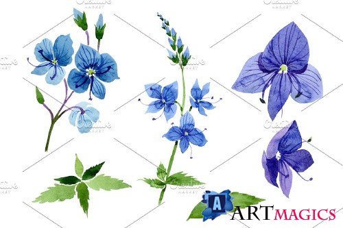Veronica flower blue Watercolor png - 3988085