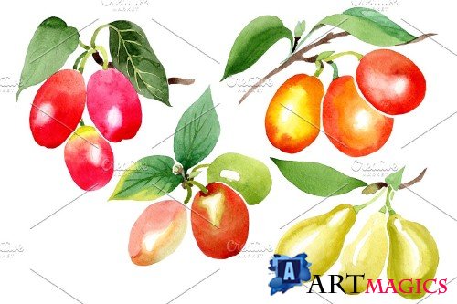 Yellow dogwood Watercolor png - 3991711