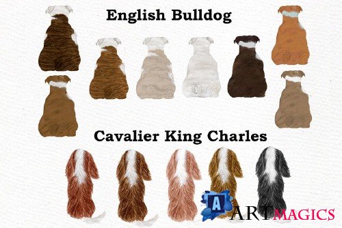 Dogs Clipart,Dog breeds Pet clipart - 3993651