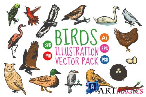 Birds Vintage Hand Drawn Vector Pack