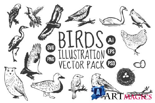 Birds Vintage Hand Drawn Vector Pack