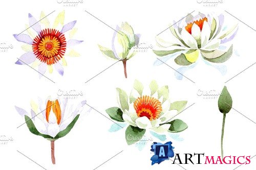 White lotus flower watercolor png - 4000631