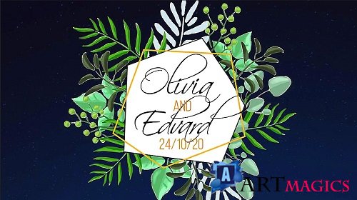 Tropical Wedding Labels 262643 - After Effects Templates