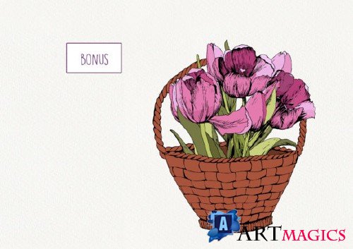 Pink Tulips. Spring Mood