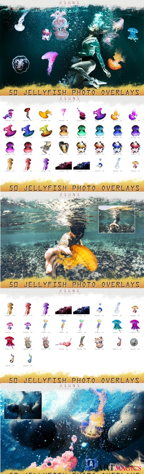 50 jellyfish overlays Clipart, PNG, transparent - 317804