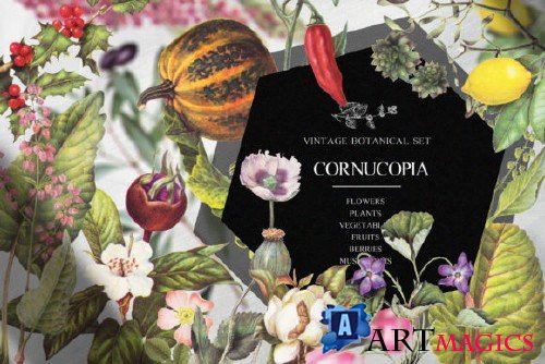 Cornucopia Vintage Botanical Set