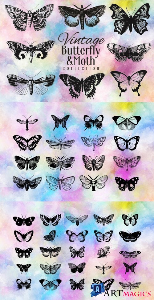 Vintage Butterfly Collection