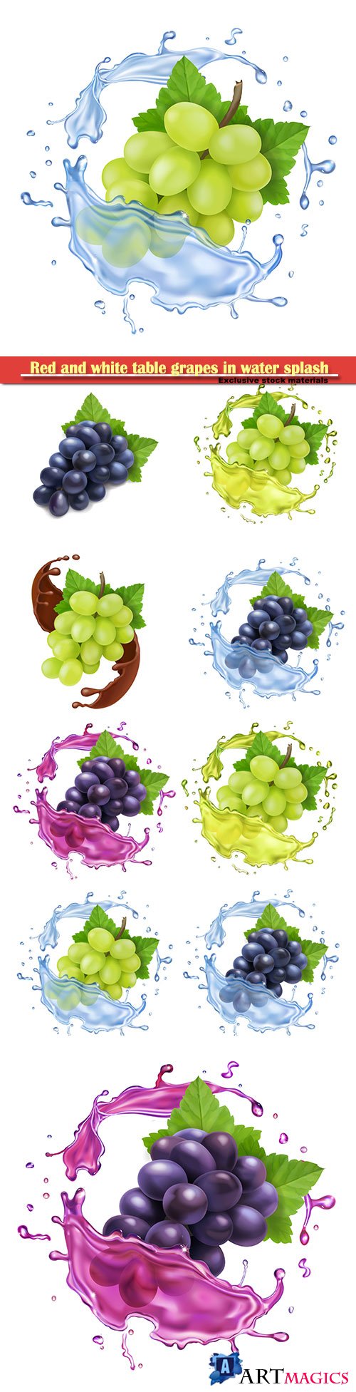 Red and white table grapes in water splash bunch of wine grapes realistic set