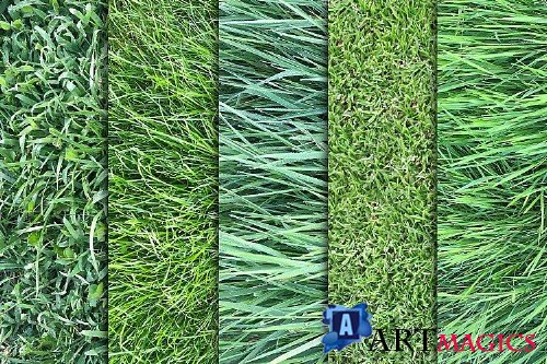 Grass Textures x10 Vol 3 - 333673