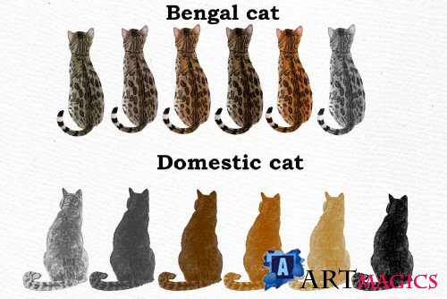 Cat Clipart, Watercolor cats - 4077297