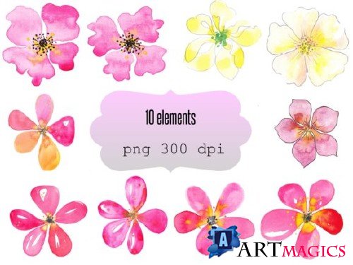 Watrcolor Flowers Clip Art Bundle