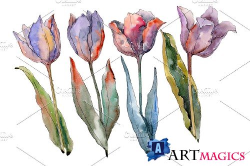 Flowers tulips fiery hello - 4026056
