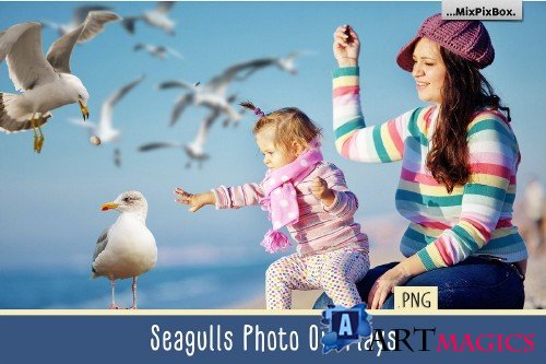Seagulls Overlays - 4085794