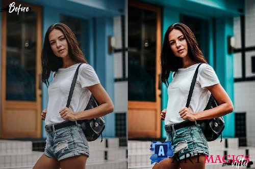 5 White Land Actions, ACR and LUT presets - 347674