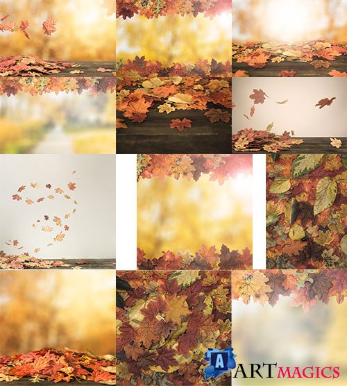      / Autumn backgrounds with yellow leaves