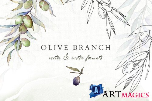 Olive branches collection - 4096867