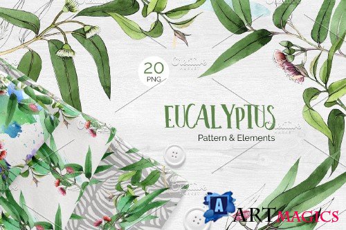 Eucalyptus branch Watercolor png - 4120898
