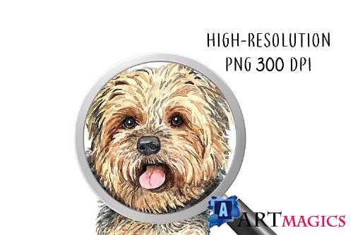 Dog clip art, Watercolor painting dog and toy set E - 352457