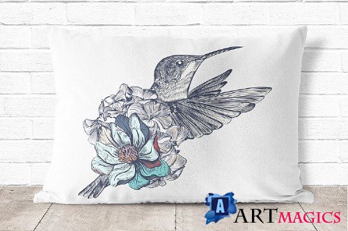 Collection of vector hummingbirds - 323370