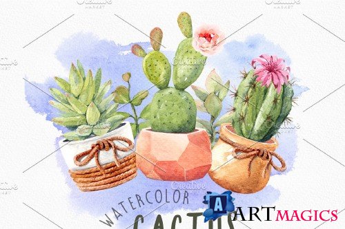 Cacti watercolor, Cactus watercolor - 3653348