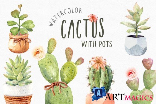 Cacti watercolor, Cactus watercolor - 3653348