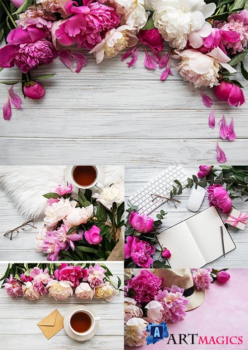    / Backgrounds with peonies