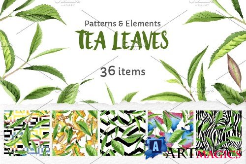 Green Tea Leaves Watercolor png - 4135091