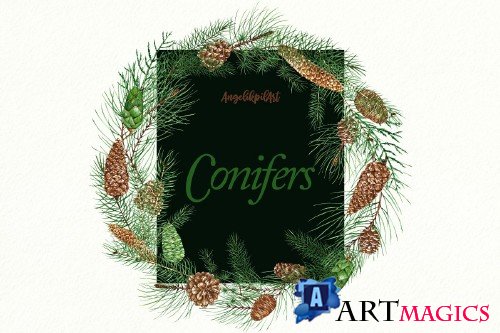 Conifers. Cones&Twigs watercolor - 3253059