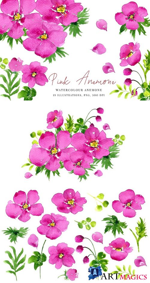 Watercolour Pink Anemone, Anemones, Wedding clipart, PNG - 356185