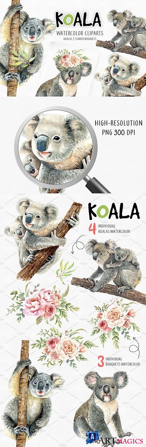 Koala. Animals watercolor clipart - 4046619