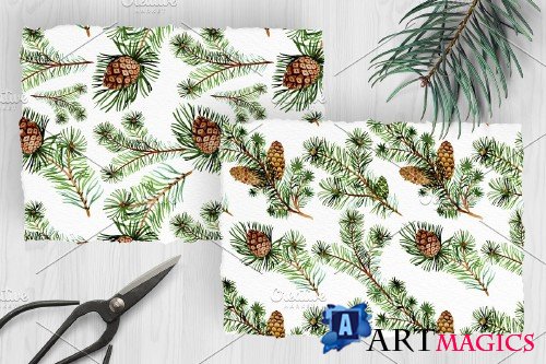 Evergreen with buds watercolor PNG - 4135664