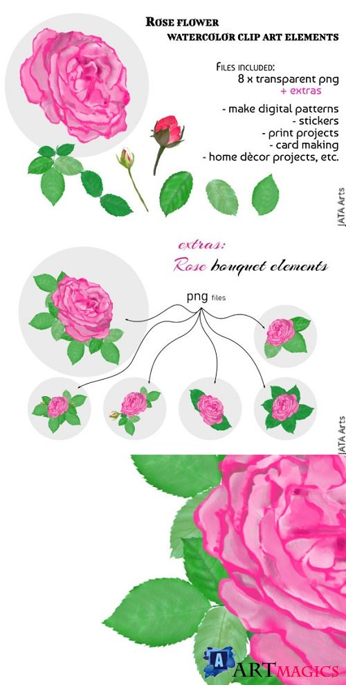 Pink Rose Clipart & Bouquet Arrangements