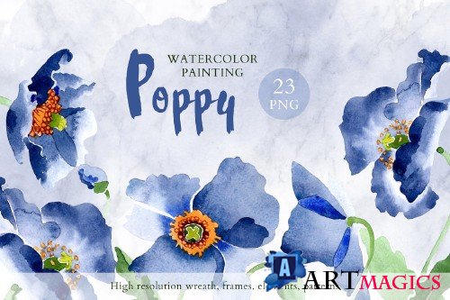 Bouquet of blue poppies Venice - 4164930