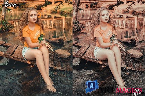 5 Dreamy Autumn Photoshop Actions, ACR and LUT presets - 362464