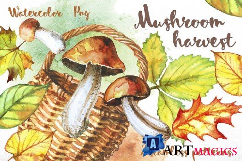 Mushroom harvest. Watercolor - 364618