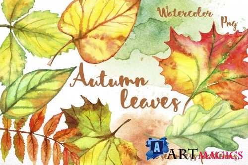 Autumn leave. Watercolor - 364586