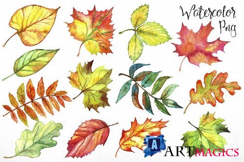 Autumn leave. Watercolor - 364586