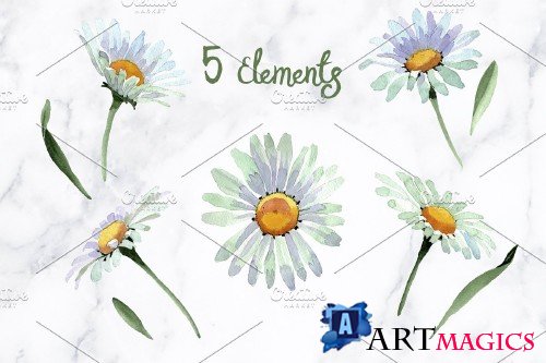 White chamomile flowers watercolor - 4194283