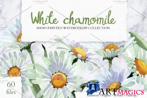 White chamomile flowers watercolor - 4194283