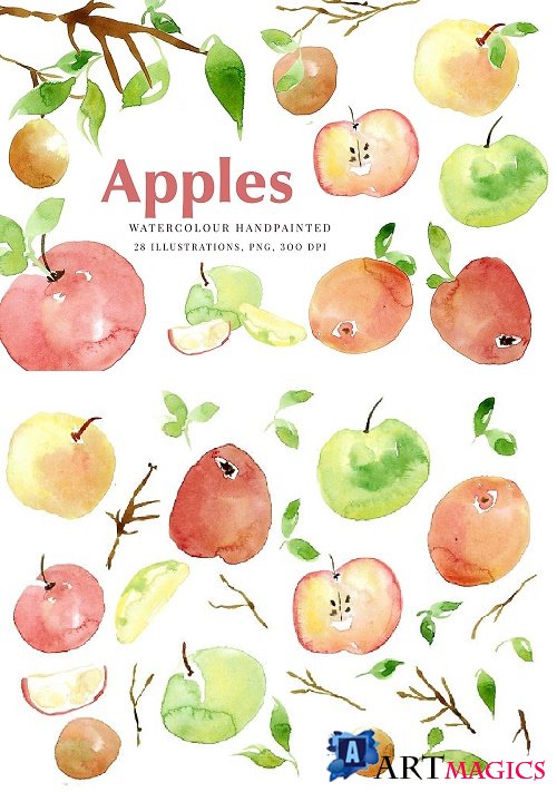 Autumn Apples Watercolour Clip Art, PNG - 363713