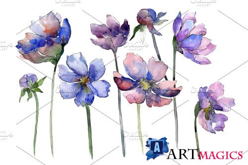Cosmos flower blue Watercolor png - 4008839