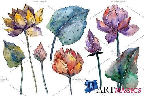 Lotus flower Watercolor png - 4010255