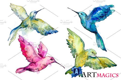 Colibri Small bird Watercolor png - 4010684