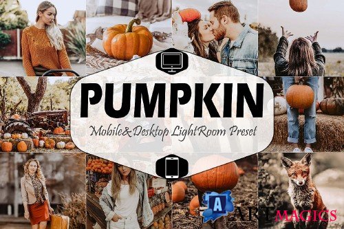 Pumpkin Mobile & Desktop Lightroom Presets - 356852