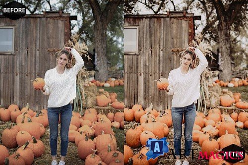 Pumpkin Photoshop Actions And ACR Presets, Fall preset - 370043