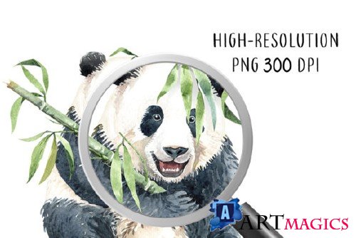 Panda. Watercolor animal clipart - 3867027
