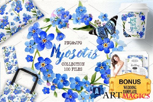 Myosotis flowers blue PNG - 4247698