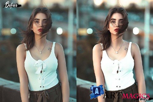 5 Instaland Photoshop Actions, ACR and LUT presets - 376151