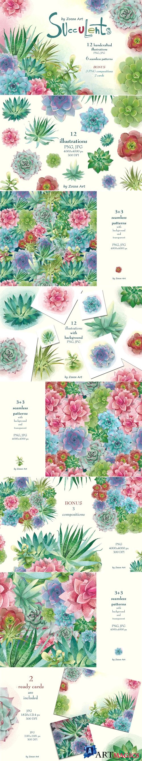Succulents: 12 images, 6 patterns - 4198270
