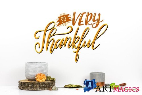 Thanksgiving holiday overlay+clipart - 4257347